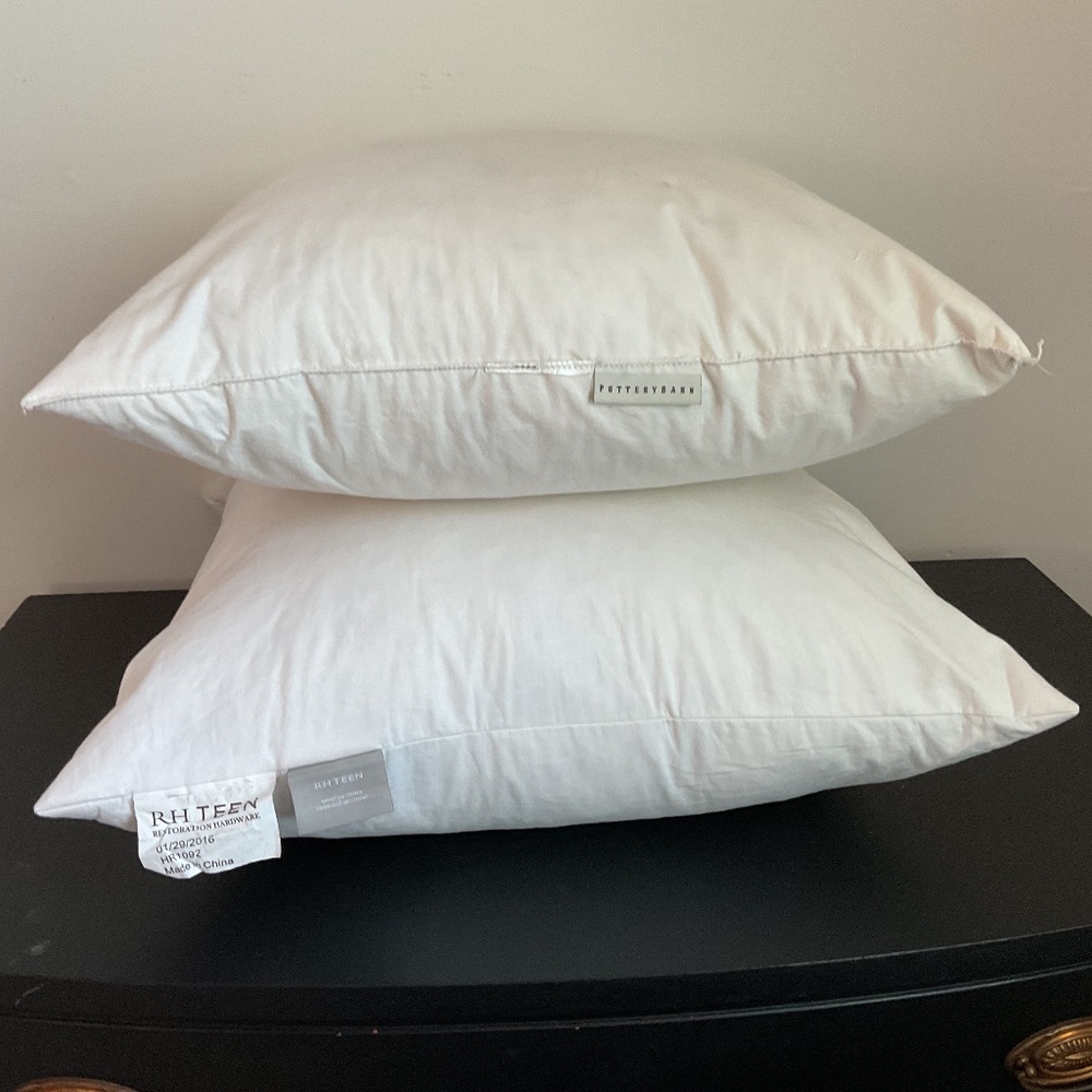 Restoration Hardware 20” & Pottery Barn 18” Feather/Down Pillow Inserts Set of 2